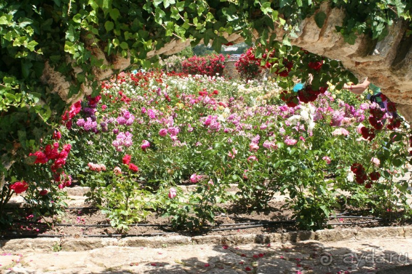 ислам и христианство в саду королевы Марии