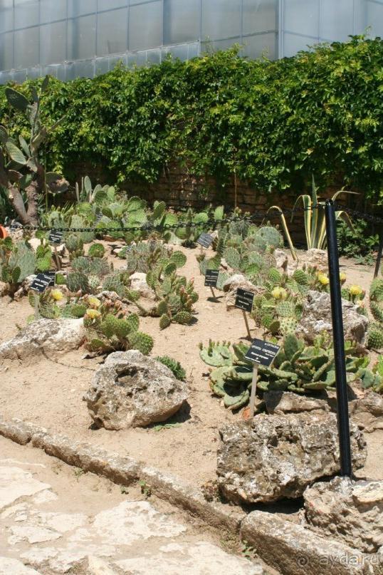 ислам и христианство в саду королевы Марии