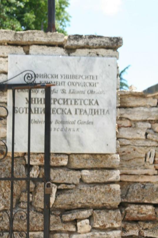 ислам и христианство в саду королевы Марии