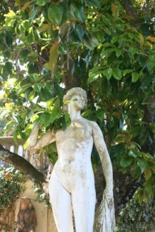 Мой Ахиллеон