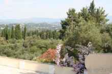 Мой Ахиллеон