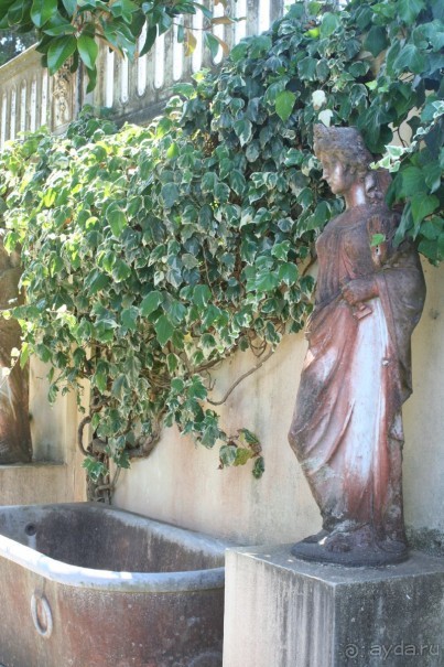 Мой Ахиллеон