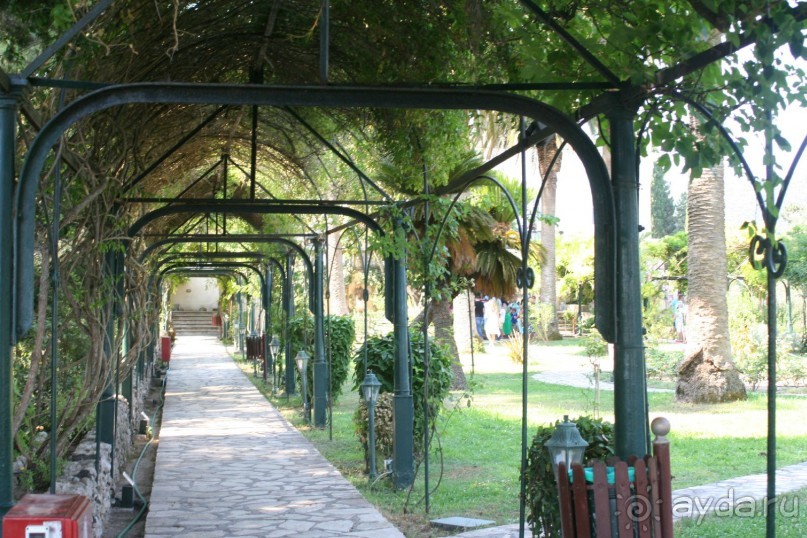 Мой Ахиллеон