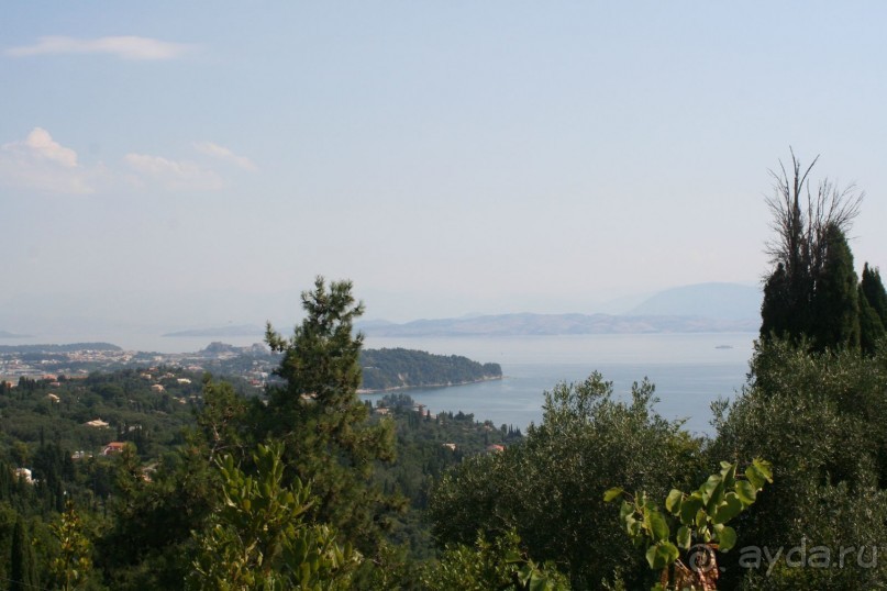 Мой Ахиллеон