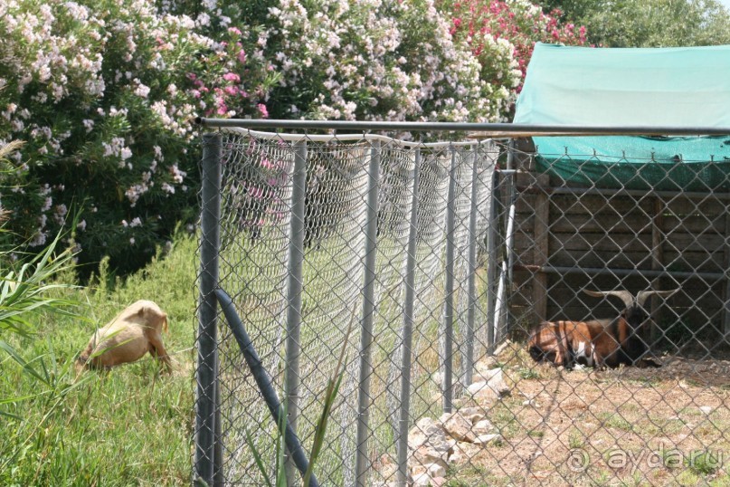 немного о Gellina Village 