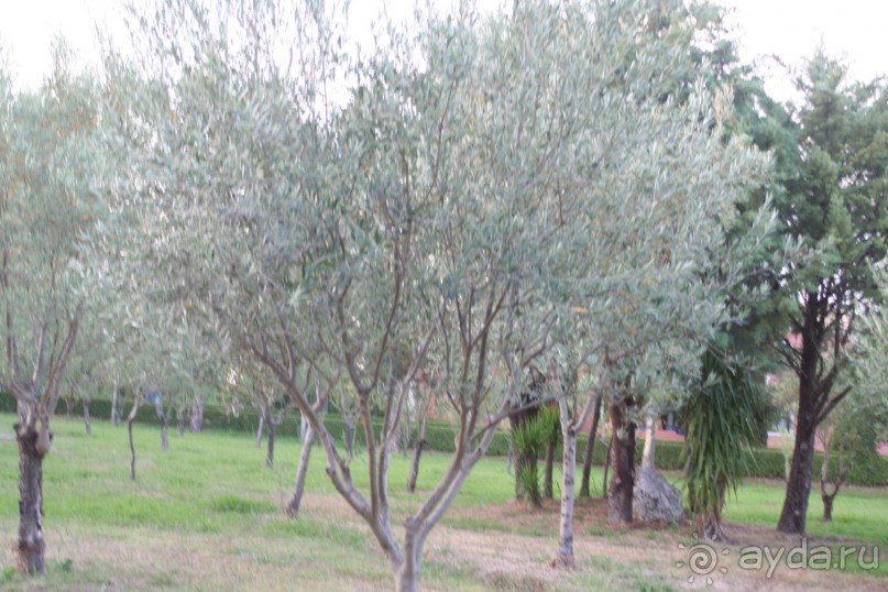 фото Mathiasos Hotel