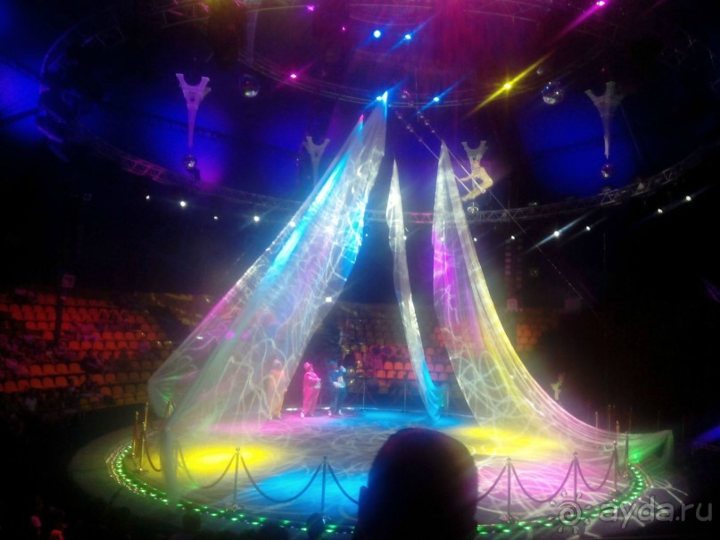 Принц цирка