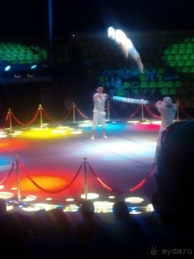 Принц цирка