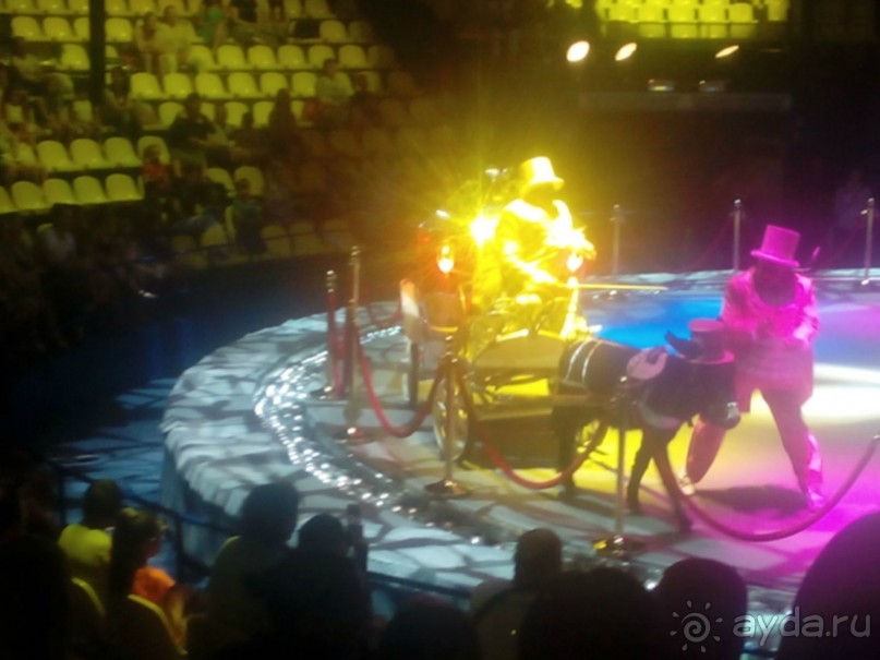 Принц цирка