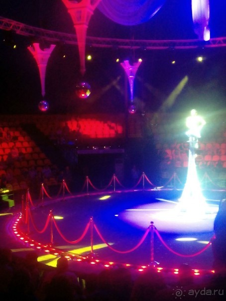 Принц цирка