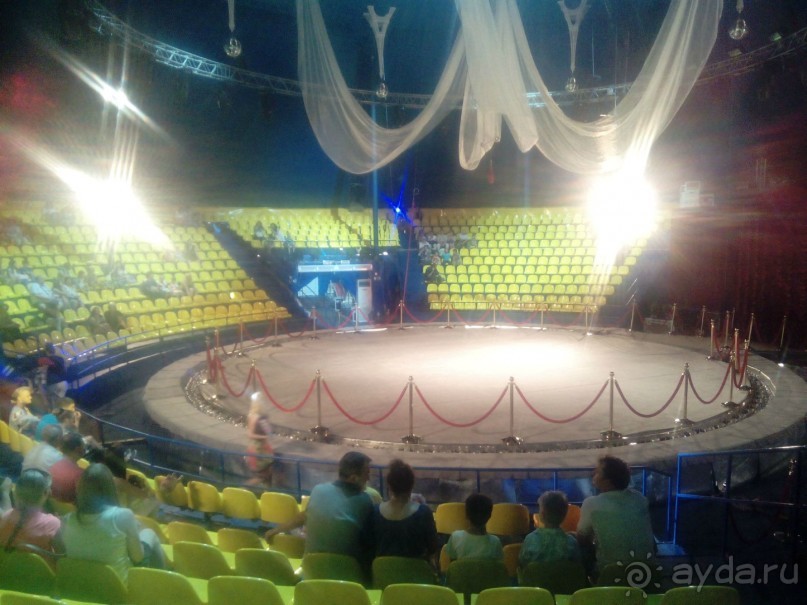 Принц цирка