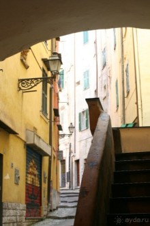 Сосновая шишка