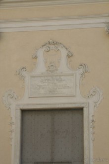 Сосновая шишка