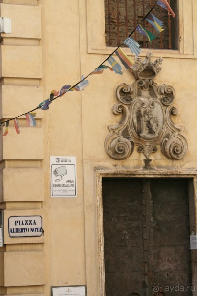 Сосновая шишка