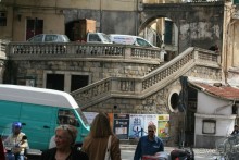 Сосновая шишка