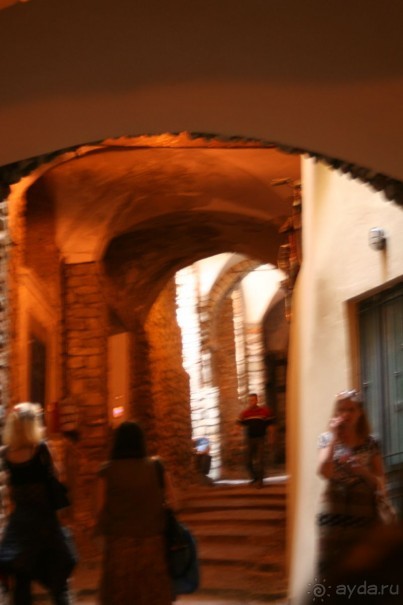 Сосновая шишка