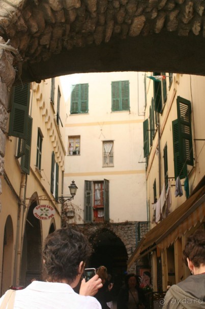 Сосновая шишка