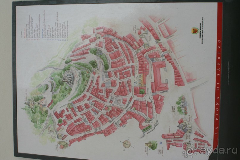 Сосновая шишка