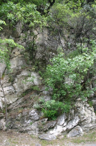 Водопады Эдессы и термальные источники  Аридеи