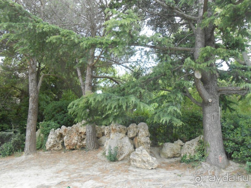 По Европе. Часть 7. Последняя. Авиньон.