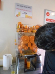 По Европе. Часть 7. Последняя. Авиньон.