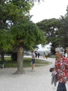 По Европе. Часть 7. Последняя. Авиньон.