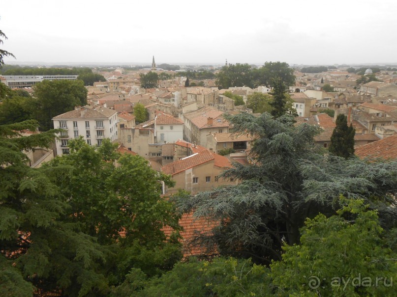 По Европе. Часть 7. Последняя. Авиньон.