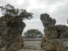 По Европе. Часть 7. Последняя. Авиньон.