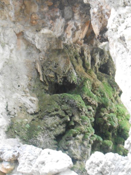 По Европе. Часть 7. Последняя. Авиньон.