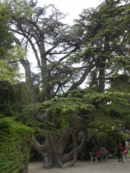 По Европе. Часть 7. Последняя. Авиньон.