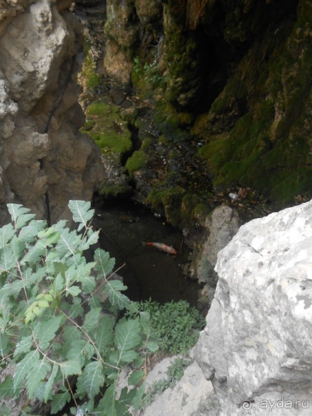 По Европе. Часть 7. Последняя. Авиньон.