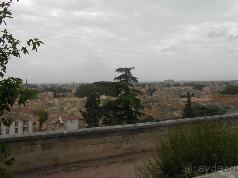 По Европе. Часть 7. Последняя. Авиньон.