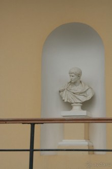 Павловск осенний