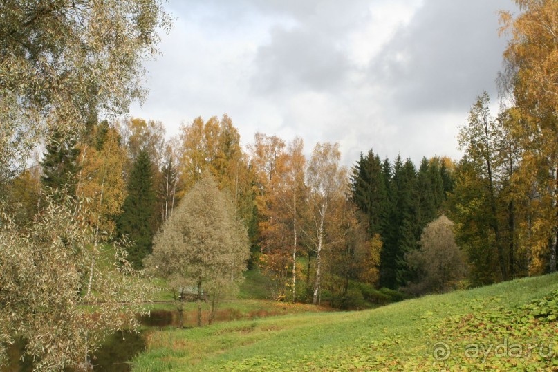Павловск осенний