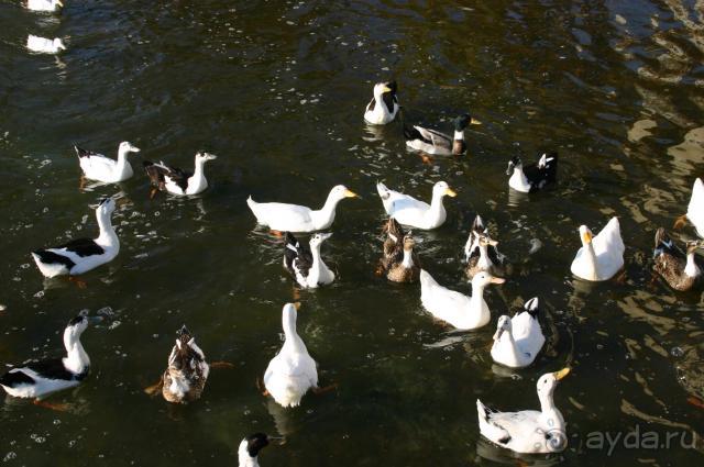 очень хороший перевалочный пункт