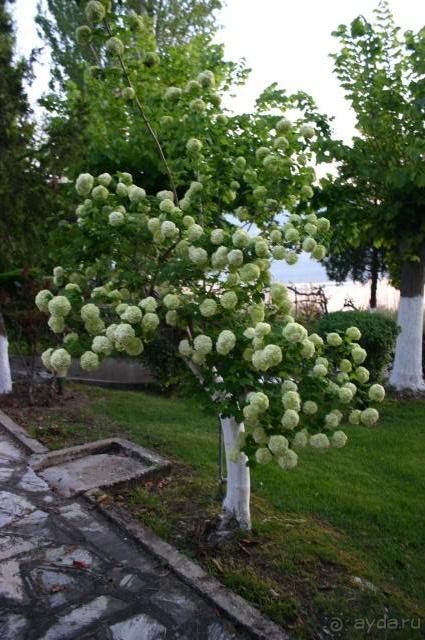 очень хороший перевалочный пункт