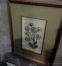 Тропическая зима в аптекарском огороде