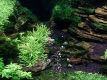 Тропическая зима в аптекарском огороде