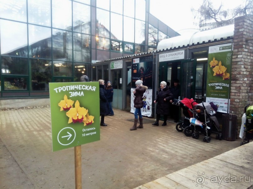 Тропическая зима в аптекарском огороде