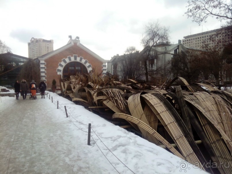 Тропическая зима в аптекарском огороде