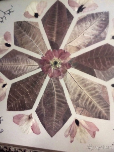 Тропическая зима в аптекарском огороде