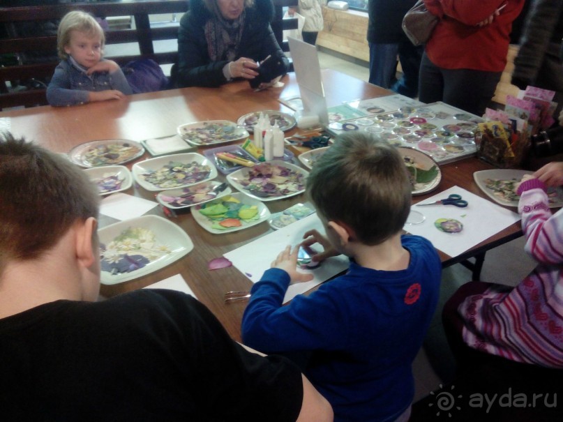 Тропическая зима в аптекарском огороде