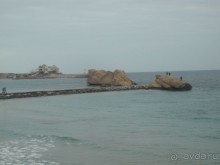 фото Delphin El Habib