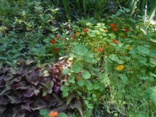 Прогулка по заказнику