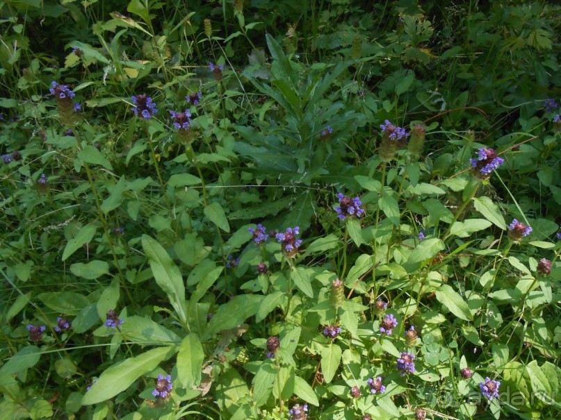 Прогулка по заказнику