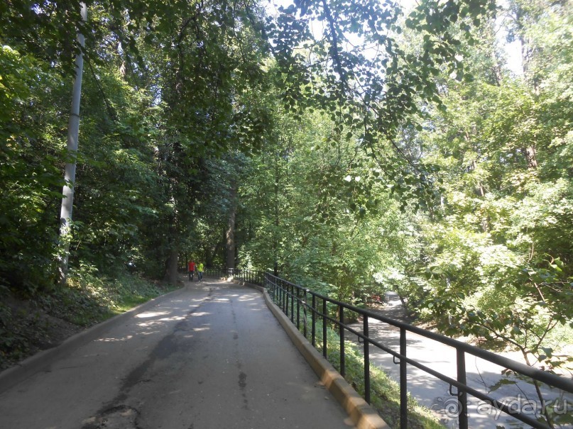 Прогулка по заказнику