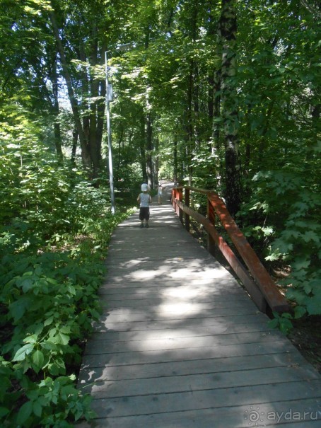 Прогулка по заказнику