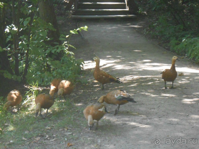 Прогулка по заказнику