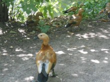 Прогулка по заказнику