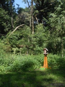 Прогулка по заказнику